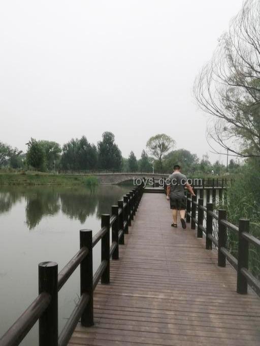 车辆遇断头路坠桥事故应对指南：家属权益保护与心理重建